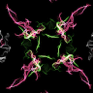 Meet your Posher, Xion